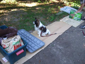 DSCF2807.JPG