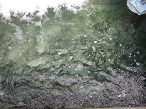 DSCF2820.JPG