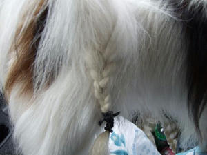 DSCF2839.JPG