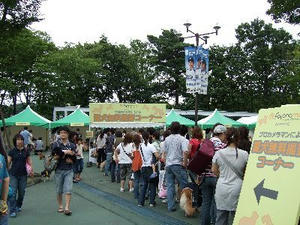 DSCF2881.jpg