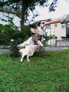 D1000169.JPG