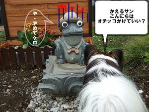 DSCF3087.jpg