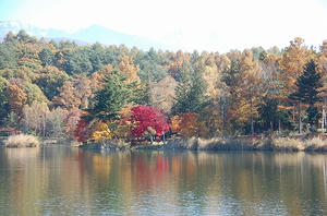 DSC_0453.jpg