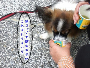 DSCF3095.jpg