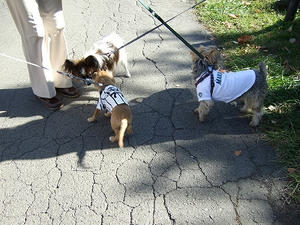 DSCF3161.jpg