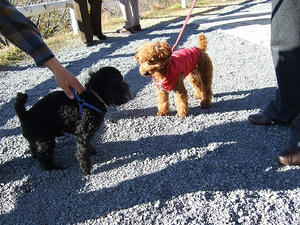 DSCF3176.jpg