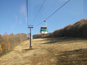 DSCF3181.jpg
