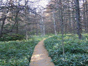 DSCF3190.jpg