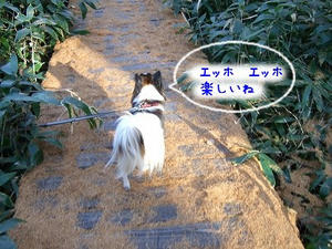 DSCF3192.jpg