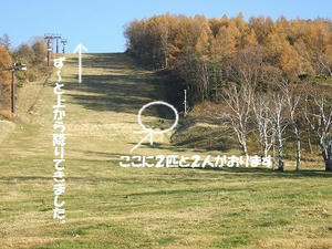 DSCF3205.jpg