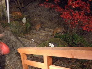 DSCF3249.jpg