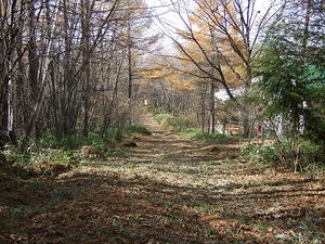DSCF3276.jpg