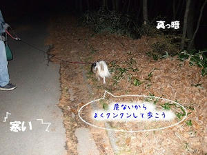 DSCF3326.jpg