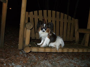 DSCF3361.jpg