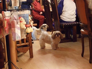 DSCF3396.jpg