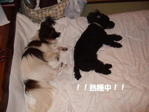 DSCF3422.jpg