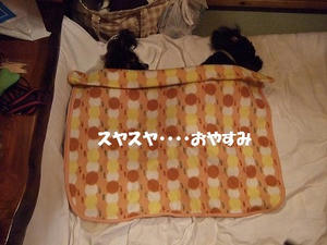 DSCF3426.jpg