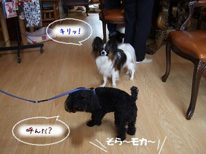 DSCF3461.jpg