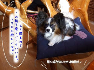 DSCF3449.jpg