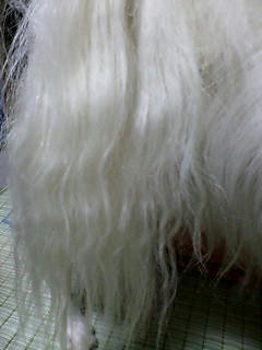 D1000274.JPG