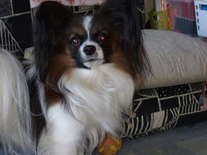 DSCF3502.jpg