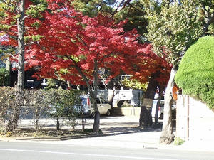 DSCF3513.jpg
