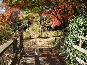 DSCF3522.jpg