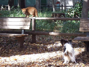DSCF3540.jpg