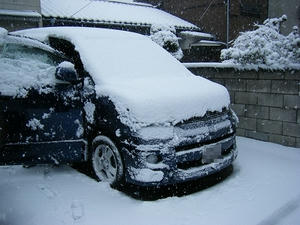 DSCF0258.jpg