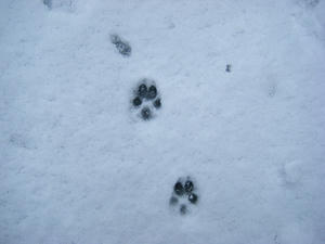 DSCF0289.jpg
