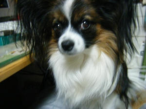 DSCF0434.jpg
