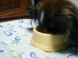 DSCF0470.jpg