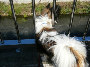 DSCF0487.jpg