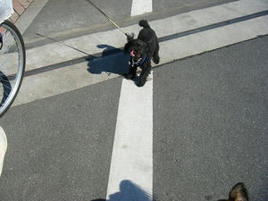 DSCF0508.jpg