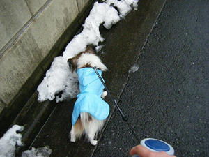 DSCF0694.jpg