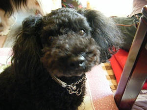 DSCF0834.jpg