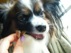 DSCF0939.jpg