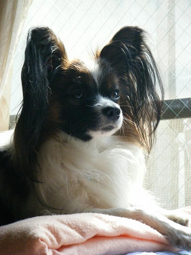 DSCF0999.jpg