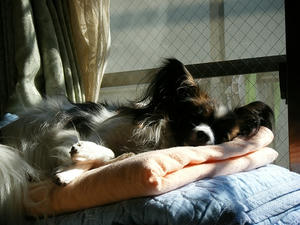 DSCF6003.jpg