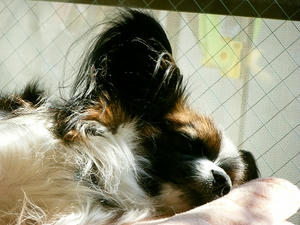 DSCF6006.jpg