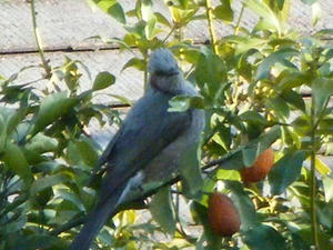 DSCF6062.jpg