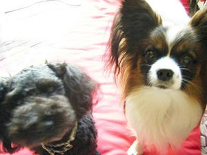 DSCF6079.jpg