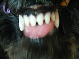 DSCF6131.jpg