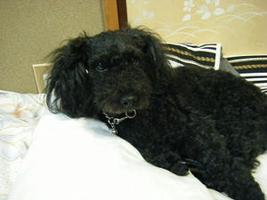 DSCF6140.jpg