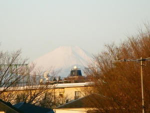 DSCF6148.jpg