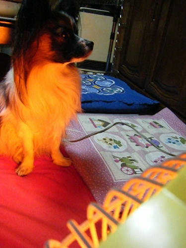 DSCF6196.jpg