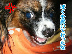 DSCF6237.jpg