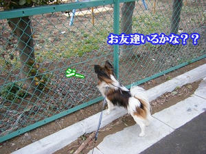 DSCF6274.jpg