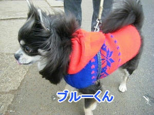 DSCF6294.jpg