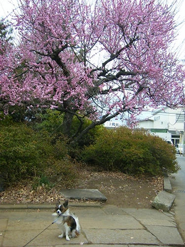 DSCF6299.jpg